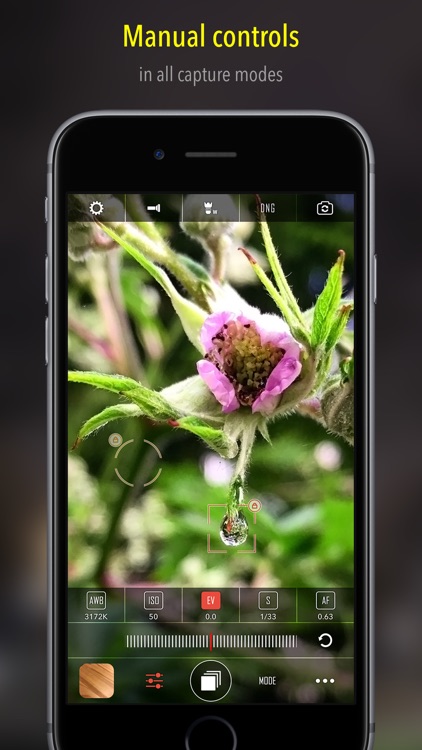 CameraPixels