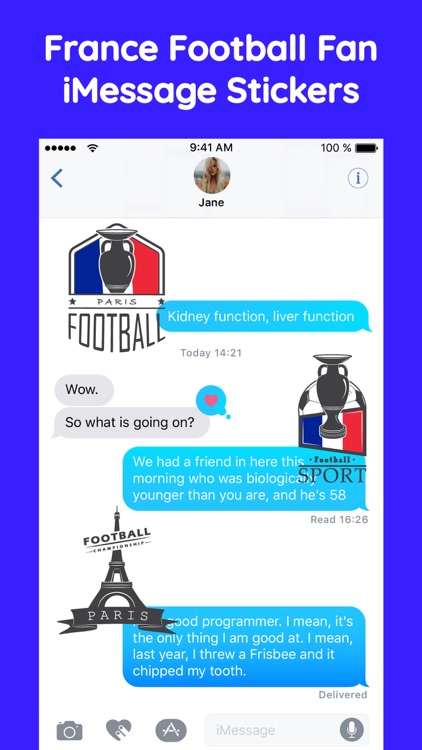 France Football Fans Stickers