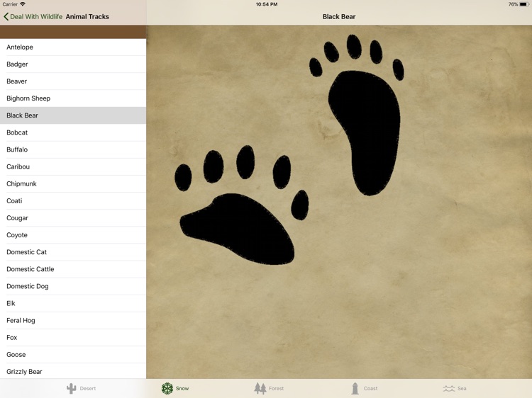 Bushcraft HD screenshot-4