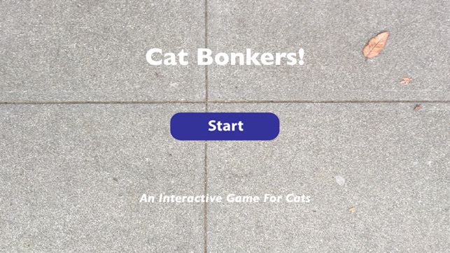 Cat Bonkers!(圖1)-速報App