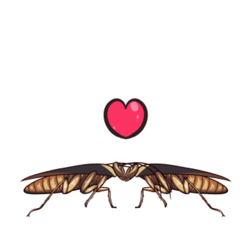 Funny Cockroach Stickers icon