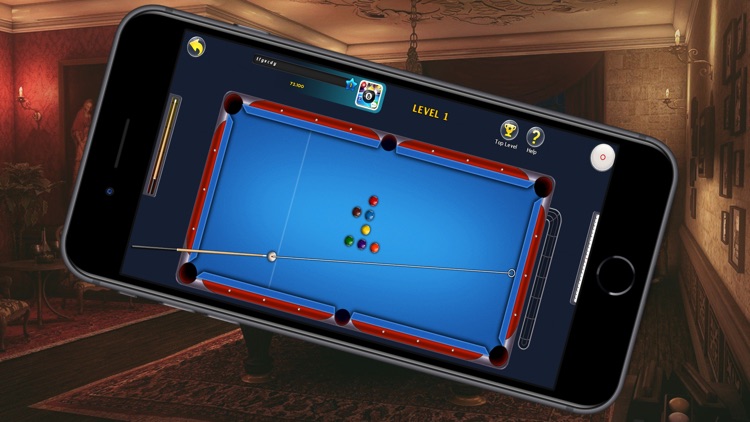 NAGA BIASKY Billiard Pool Pro by GEE DECORATION TRADING