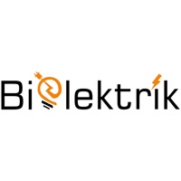 Bielektrik