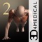 Plan and track a fitness program with the visual and detail iMuscle 2