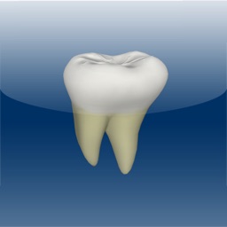 CGM Dental Consult