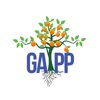 GAPP APP- Honey Bun Foundation
