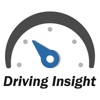 Driving Insight