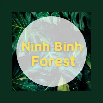 NinhBinhFFW Читы