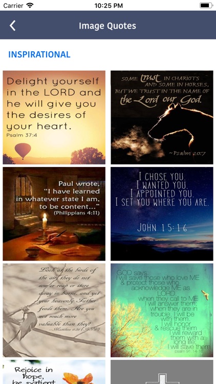 Message Bible (MSG) + Audio screenshot-3