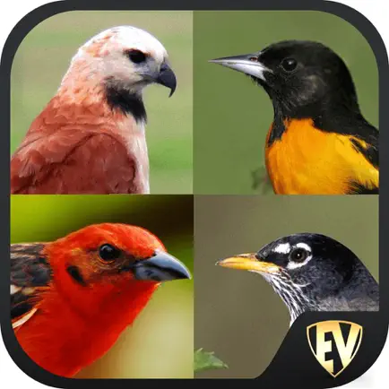 Non-Passerine Bird Dictionary Cheats