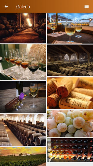 I Congreso Internacional Vinos(圖5)-速報App