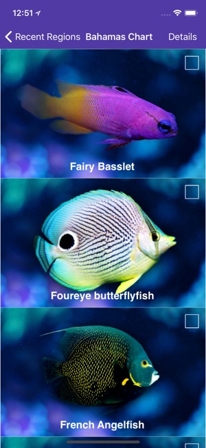 Scuba FIC - Reef Fish ID App(圖3)-速報App