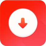 Snap Video Saver Hub