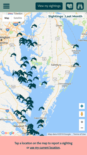 Chesapeake Dolphin Watch(圖1)-速報App