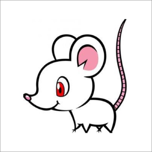 Mouse VPN iOS App