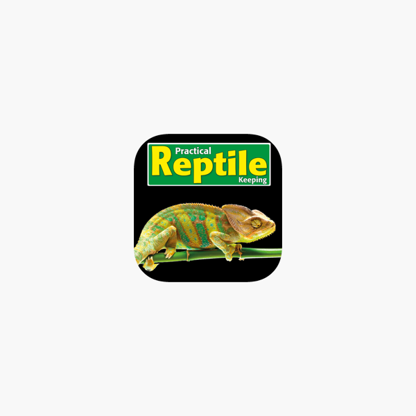 reptile keeping