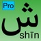 Icon Arabic alphabet - Pro