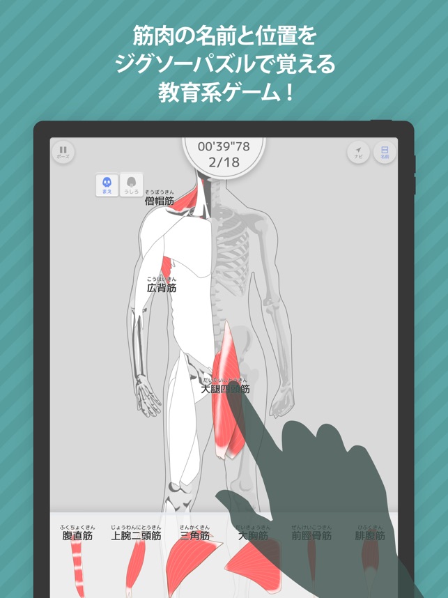 あそんでまなべる 筋肉パズル をapp Storeで