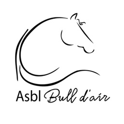 ASBL Bull d'air by KATAKLOP