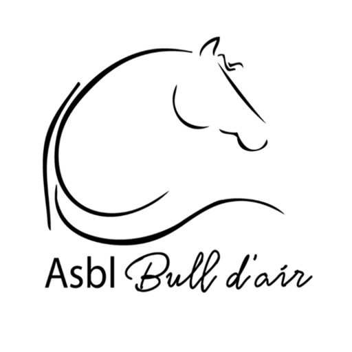 ASBL Bull d'air by KATAKLOP