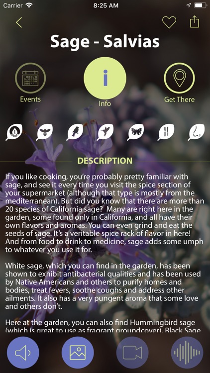 Rancho Santa Ana Botanic Garde screenshot-5