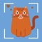 Have you ever see a cute cat that you want to know more about it