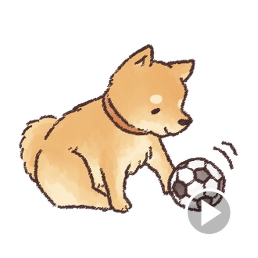 A Cute Shiba Inu Stickers icon