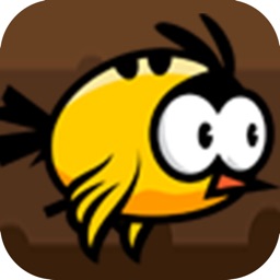 Flying Birds: Collect Treasure