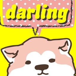 Darling - ビデオ通話で安心安全なチャット