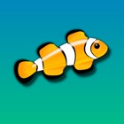 Top 29 Entertainment Apps Like Marine Aquarium 2.6 - Best Alternatives