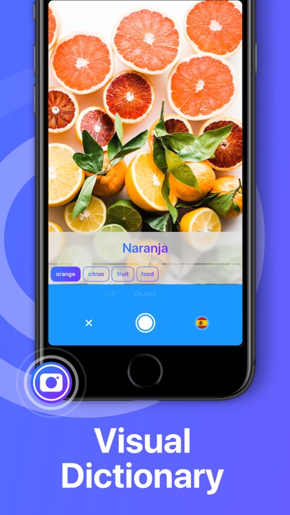 iTranslate Translator screenshot-7