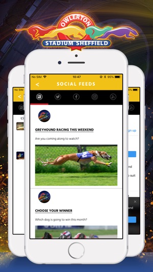 Owlerton Greyhound Stadium(圖3)-速報App