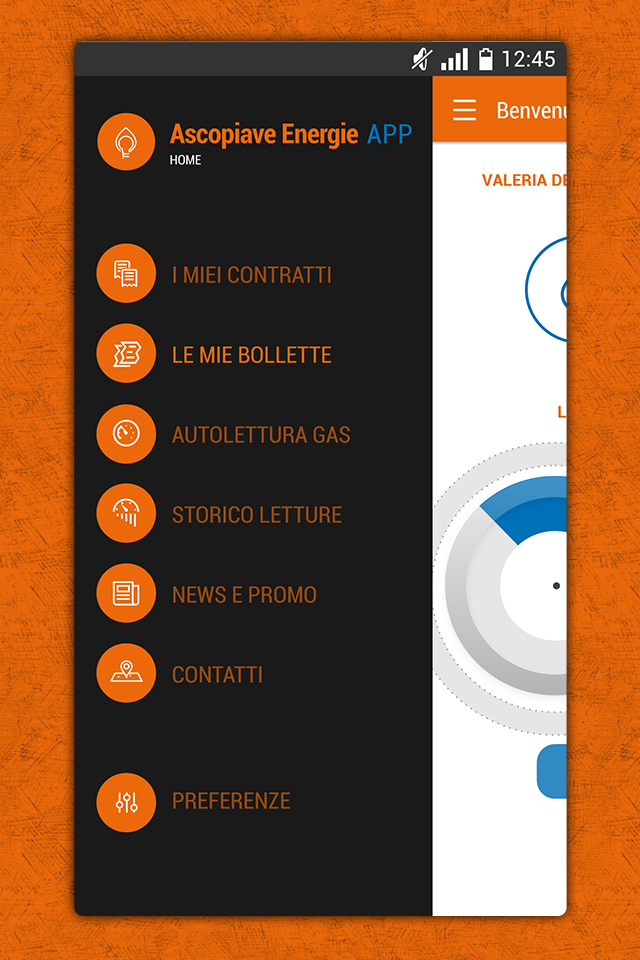 AscopiaveEnergie App gas luce