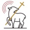 Billings Catholic Radio, KJCR is owned and operated by the board of directors or Agnus Dei Communications