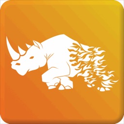 Rhinos Global