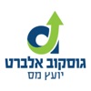 אלברט גוסקוב יועץ מס