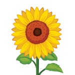 Widget Garden