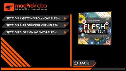 fleshing-it-out-flesh-101-ipad-screen-shot-1