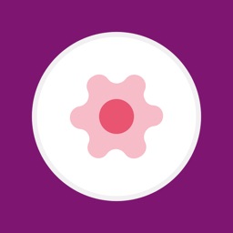 益汇账号记录簿