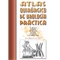 El Atlas Quirúrgico de Urología Práctica es un libro de consulta pensado no sólo para Urólogos, Cirujanos Generales, Ginecólogos y Cirujanos Pediátricos en formación que quieran estudiar técnicas de cirugía urológica, sino también para especialistas ya formados que quieran refrescar conocimientos sobre una determinada técnica quirúrgica