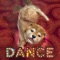 Let the cute puppies dance by playing musics