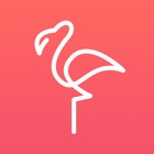 Flamingo - Teach Language