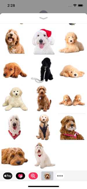 Goldendoodle Sticker Pack(圖3)-速報App