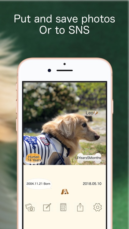 Pets Age screenshot-3