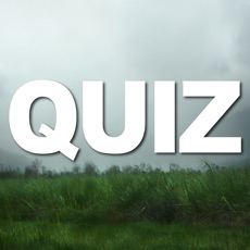 Activities of Quiz for LOST TV Series Trivia