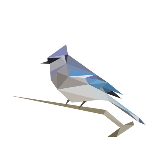 BirdNET iOS App