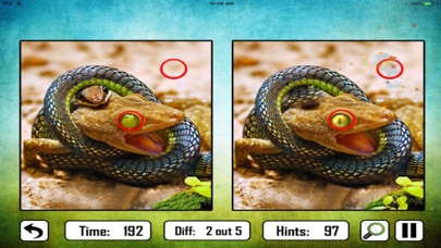 Animal Find The Difference screenshot 2