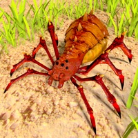 Wild Spider - Insect Simulator