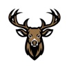 Salisbury-Elk Lick