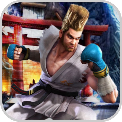 Virtual Fighting Champion icon